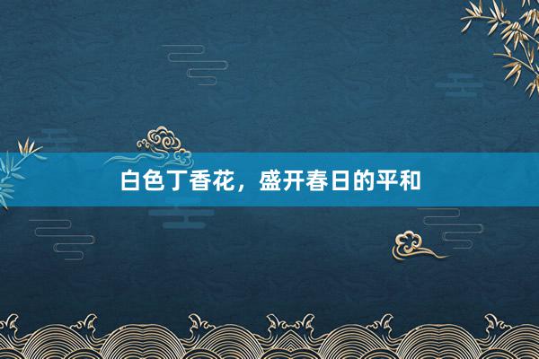 白色丁香花，盛开春日的平和
