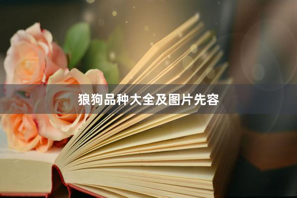 狼狗品种大全及图片先容